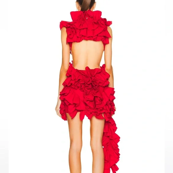 Aknvas Red Ruffled Mini Dress - Picture 2 of 5